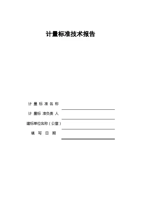 计量标准技术报告模板