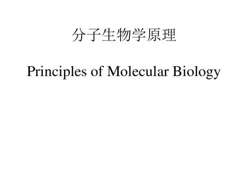分子生物学原理