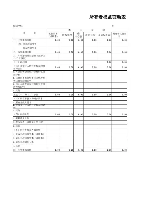 excl财务报表模版-所有者权益变动表