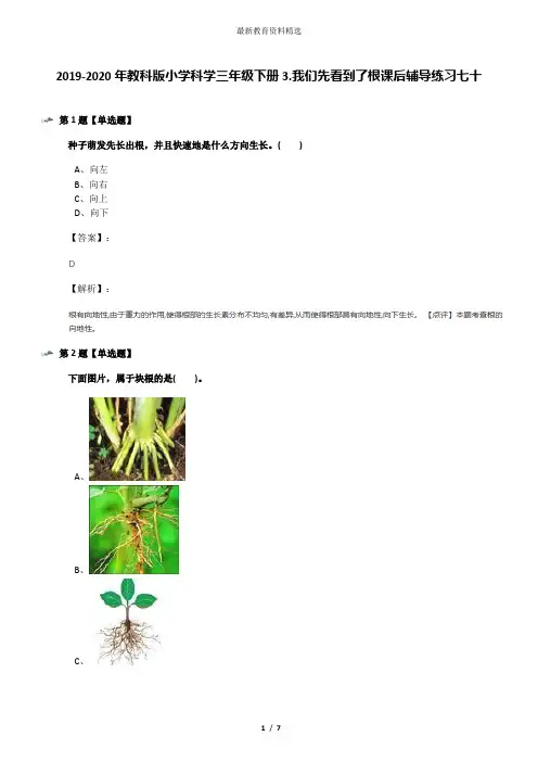 2019-2020年教科版小学科学三年级下册3.我们先看到了根课后辅导练习七十