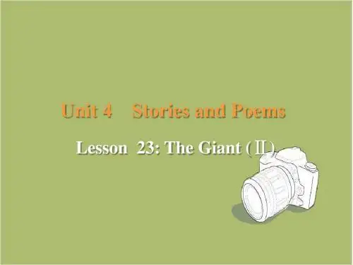 九年级冀教版英语上册课件:Lesson 23