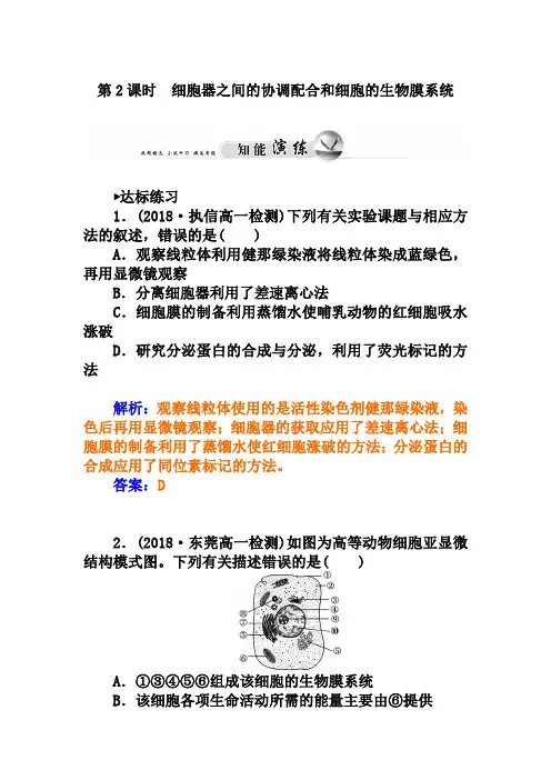 人教版生物必修一：3.2《细胞器之间的协调配合和细胞的生物膜系统》练习