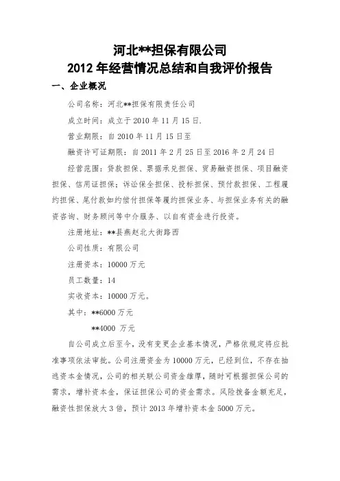 企业 融资性担保公司2017年经营情况总结和自我评价报告范本 精品