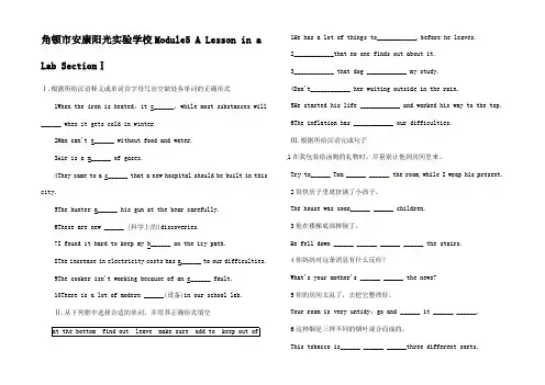 高中英语 Module 5 A Lesson in a Lab 