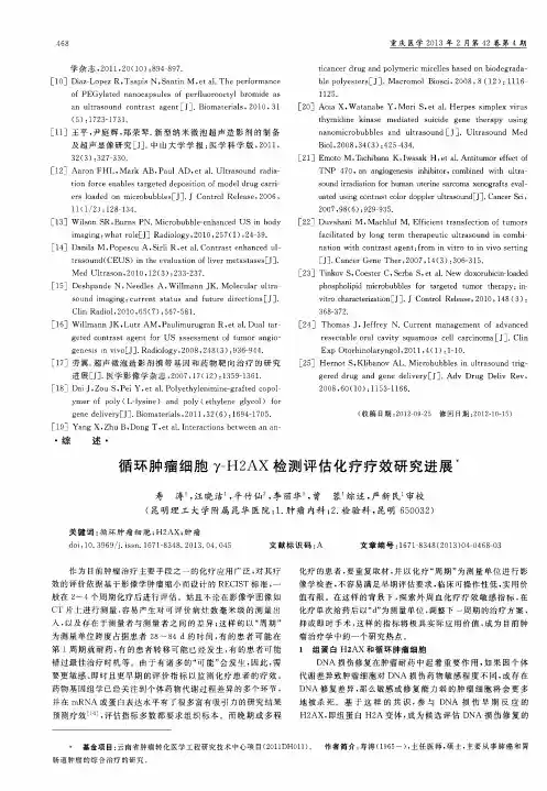循环肿瘤细胞γ-H2AX检测评估化疗疗效研究进展