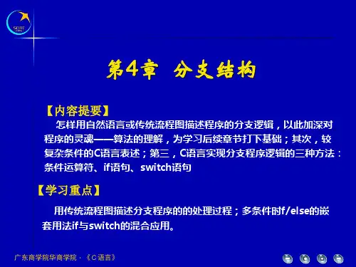 第4章分支结构