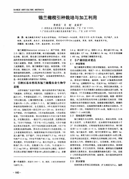 锡兰橄榄引种栽培与加工利用