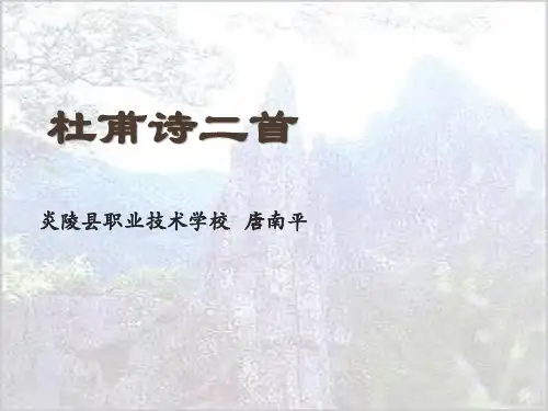 14、杜甫诗二首