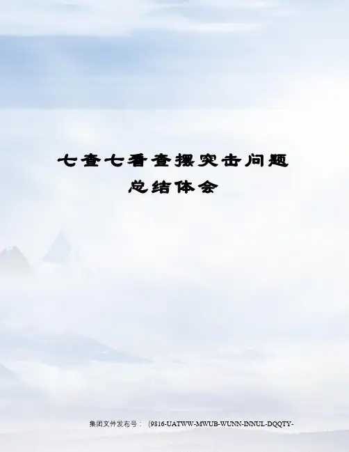 七查七看查摆突击问题总结体会