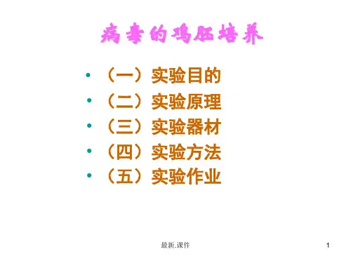 (可修改)病毒的鸡胚培养法.ppt