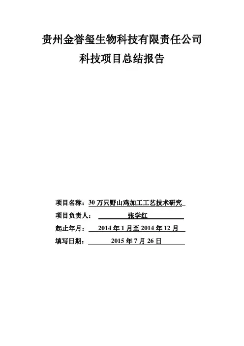 项目总结报告