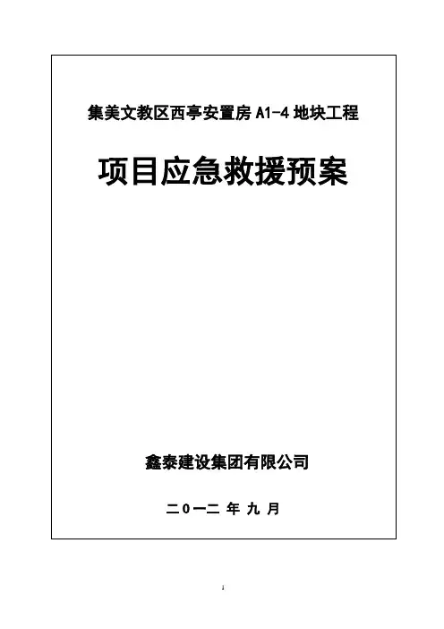 项目应急救援预案