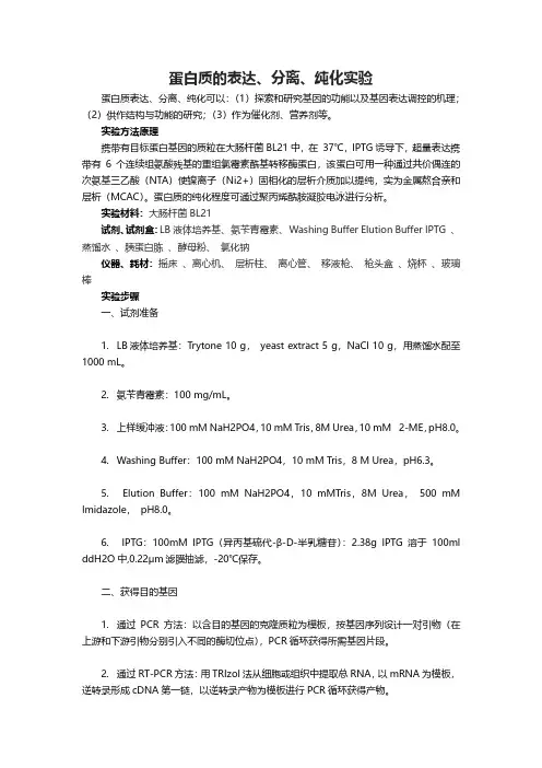 蛋白质的表达、分离、纯化实验.doc