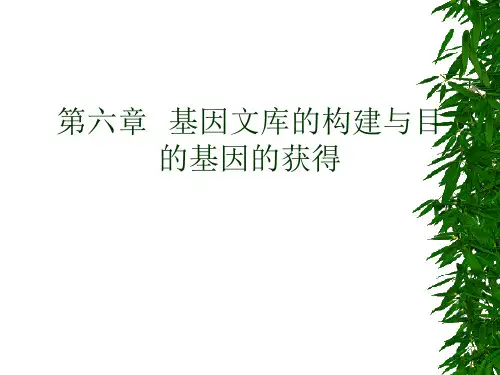 基因工程-第6章-基因文库的构建与目的基因的获得.