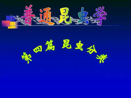 昆虫的分类