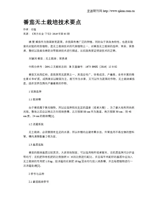 番茄无土栽培技术要点