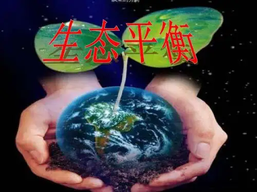 苏教版六年级下册科学--《4.4生态平衡》教学课件