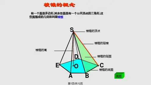 棱锥的概念PPT课件