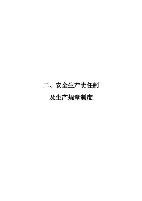 安全生产责任制及生产规章制度