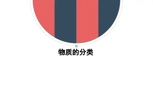 物质的分类