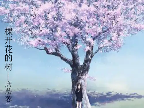 一棵开花的树 席慕容