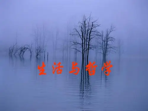 前言+生活与哲学(1)
