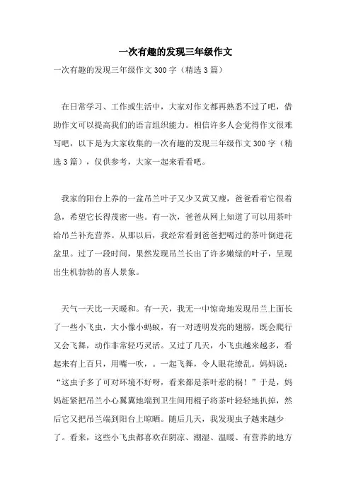 一次有趣的发现三年级作文