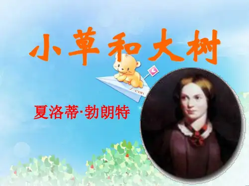 《小草和大树》PPT4  图文