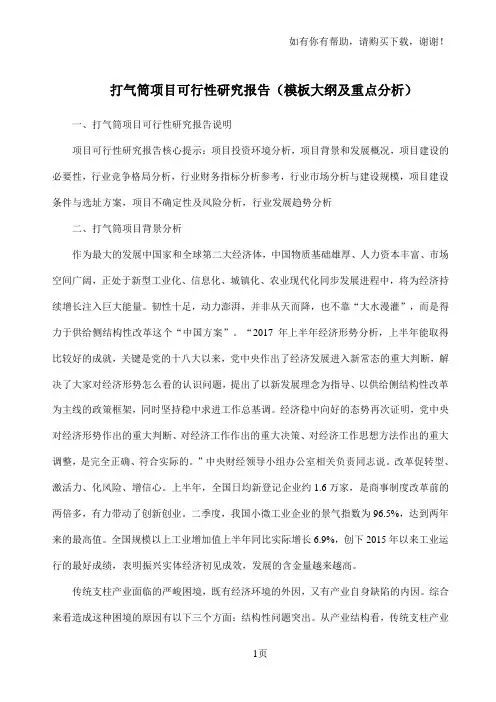 打气筒项目可行性研究报告模板大纲及重点分析