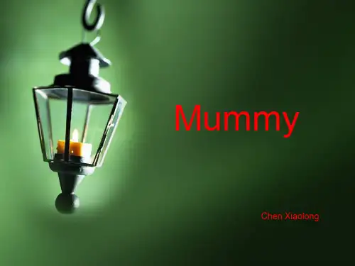 木乃伊(Mummy)制作过程