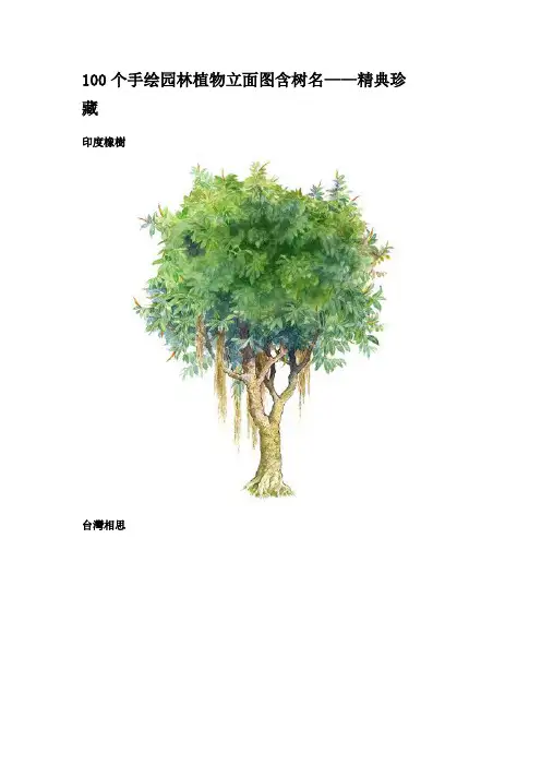 100个手绘园林植物立面图含树名