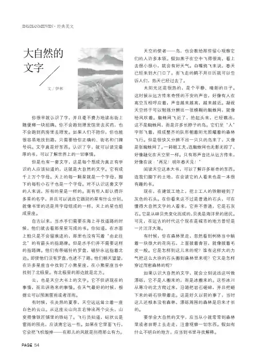 大自然的文字 4