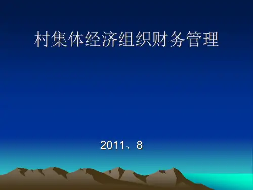 村集体经济组织财务管理培训课件.pptx