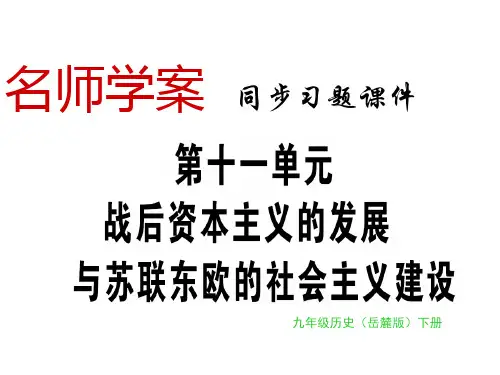 2019届九年级历史下册岳麓版同步习题课件:第36课 当代资本主义的新变化(共23张PPT)
