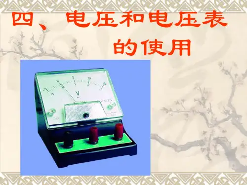 电压和电压表的使用