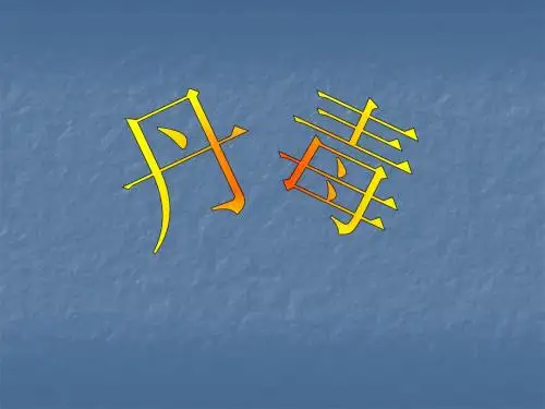病案分析