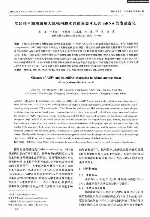 实验性早期糖尿病大鼠视网膜水通道蛋白4及其mRNA的表达变化
