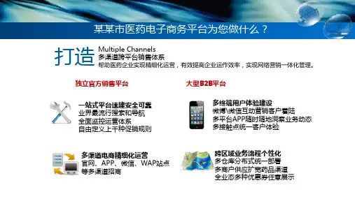 医药电子商务平台建设方案ppt