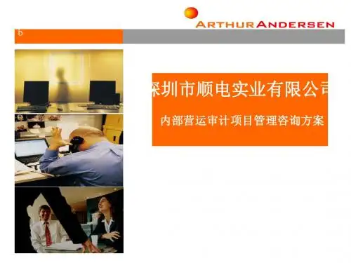 【精品】最新内部营运审计项目管理咨询方案