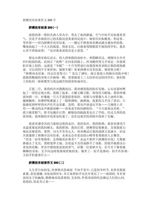 拼搏没有结束作文800字