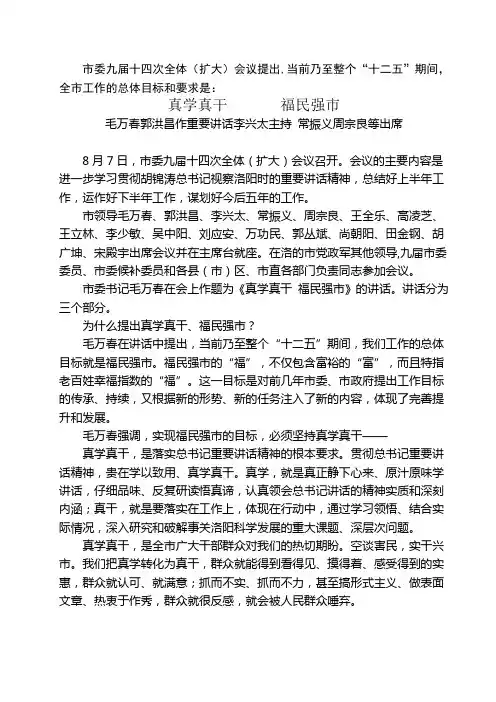 市委九届十四次全体毛万春讲话