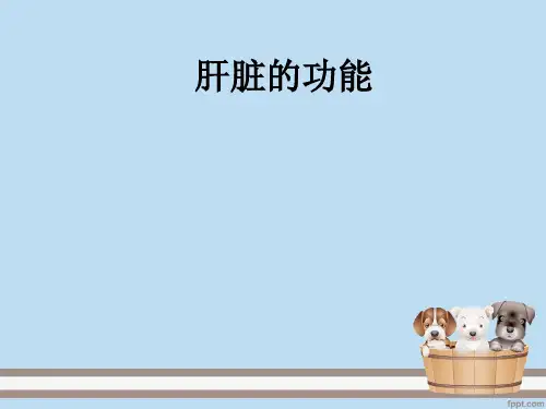 肝脏的功能ppt课件