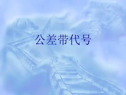 公差带代号.