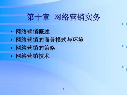 11第十章  网络营销实务byt
