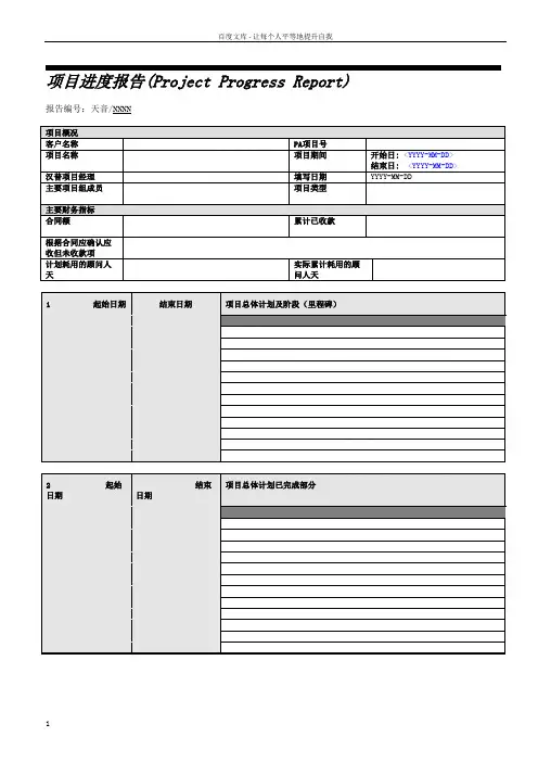 项目进度报告模板
