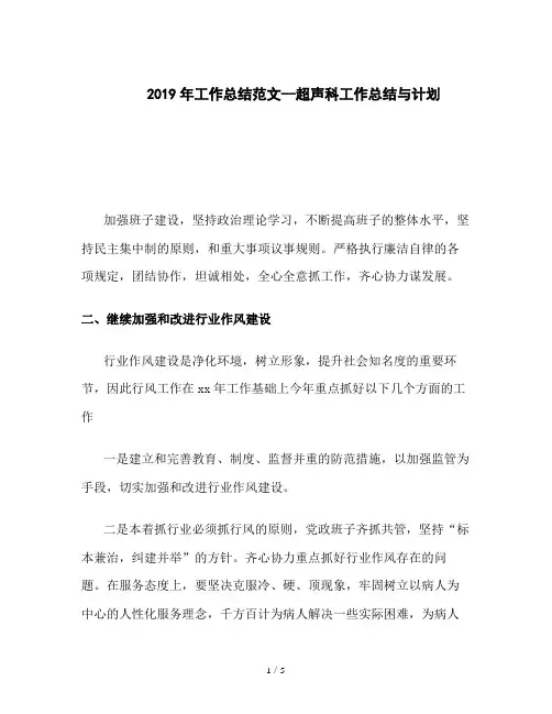 2019年工作总结范文--超声科工作总结与计划