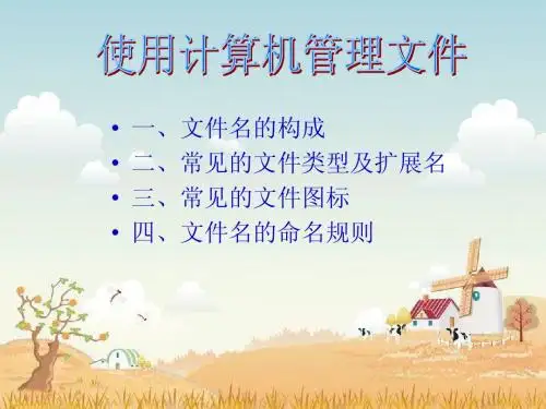 计算机管理文件