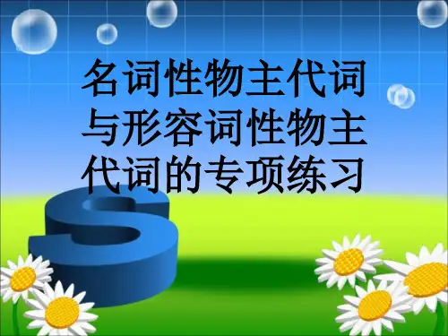 形容词性物主代词和名词性物主代词区分专项练习