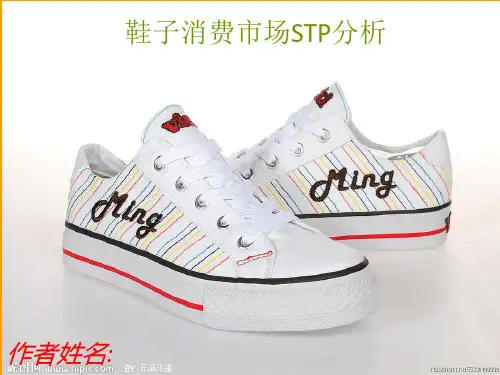 鞋子行业STP市场分析[优质PPT]
