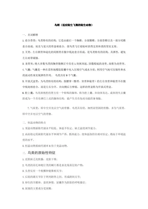 鸟纲
